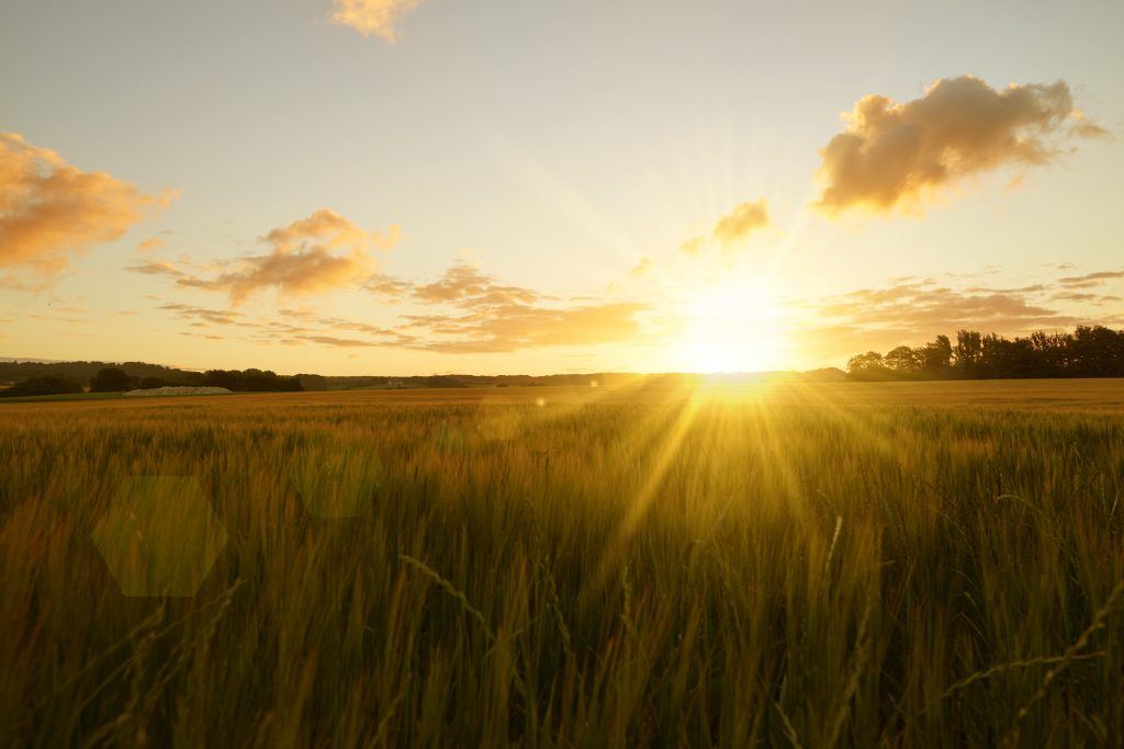 pastoral care in freehold nj