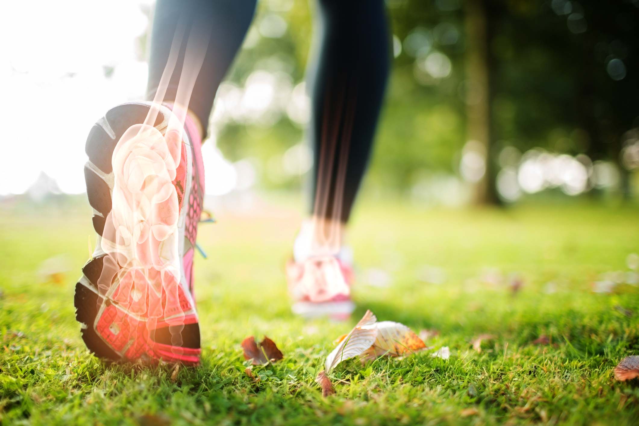 bone density screening freehold
