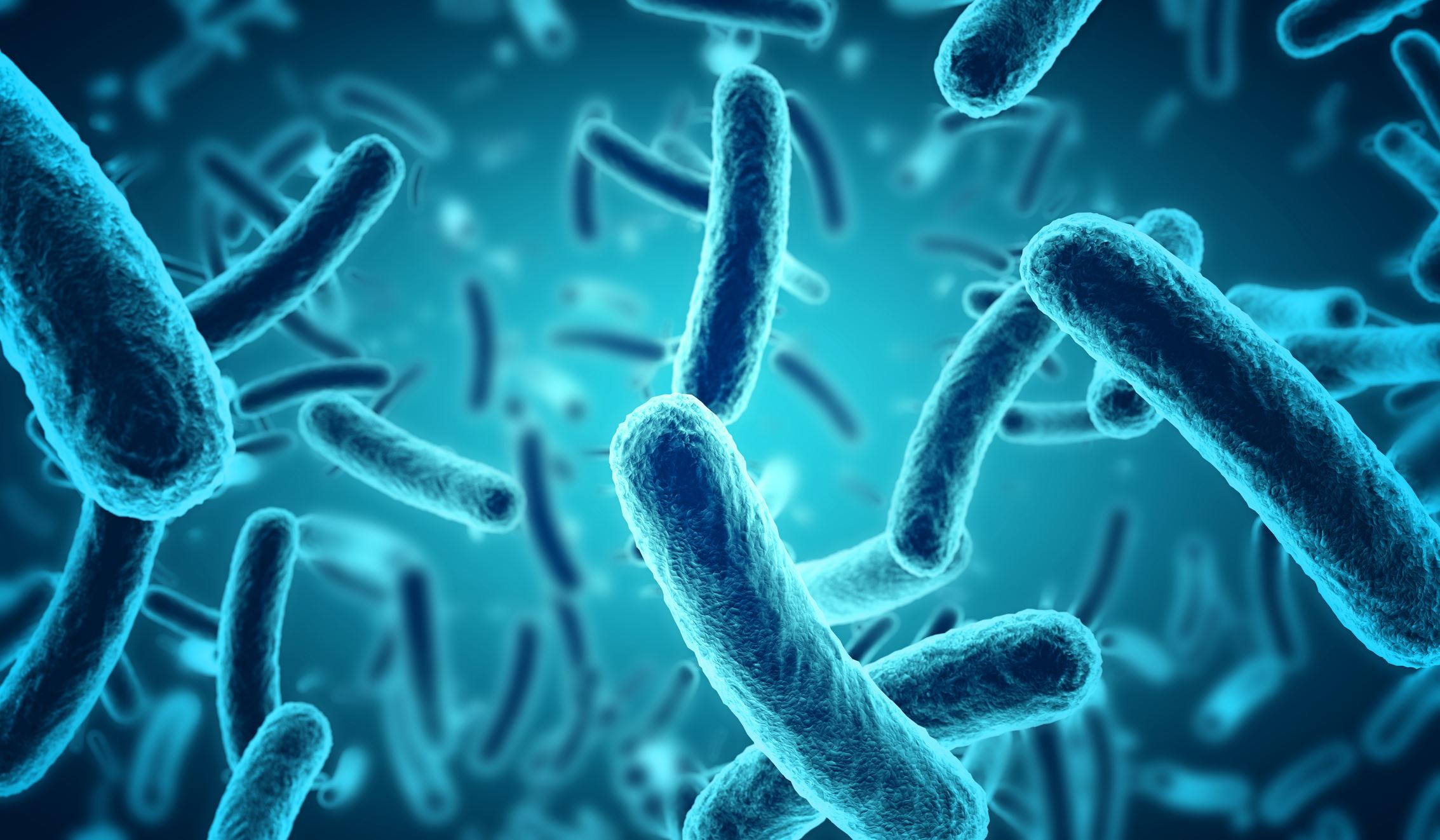 infectious disease doctor freehold nj