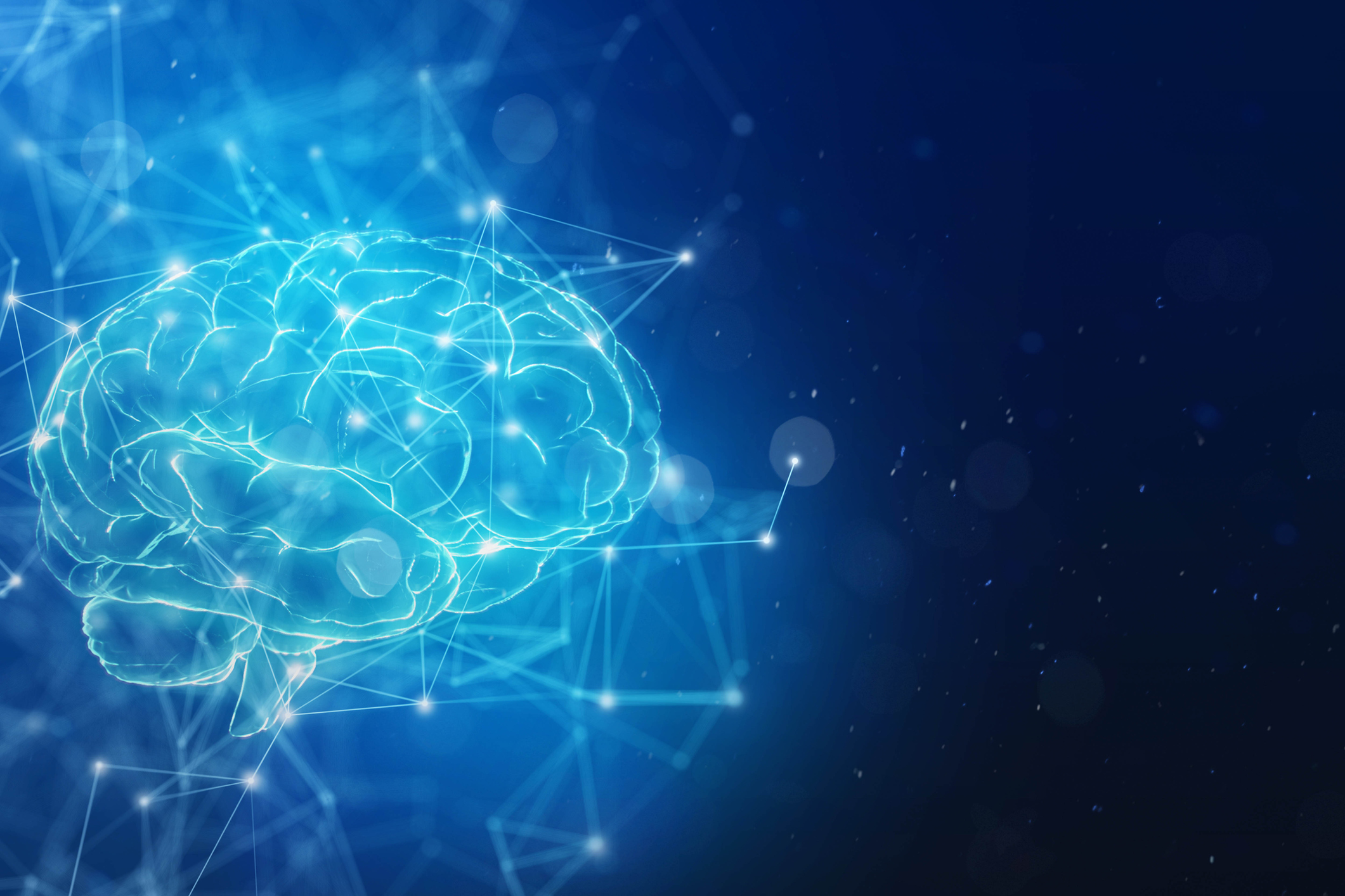 Brain and network